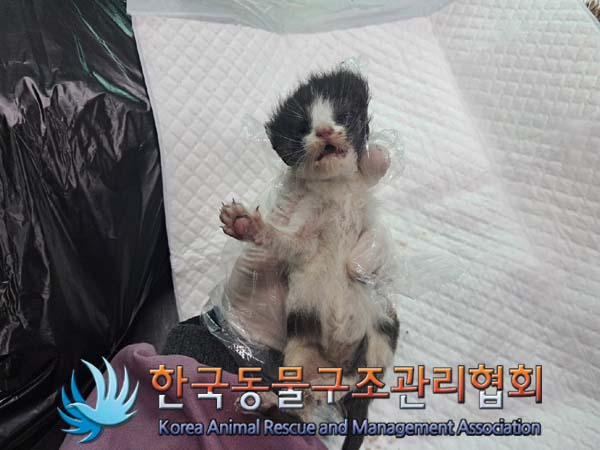 종료(자연사) 한국…